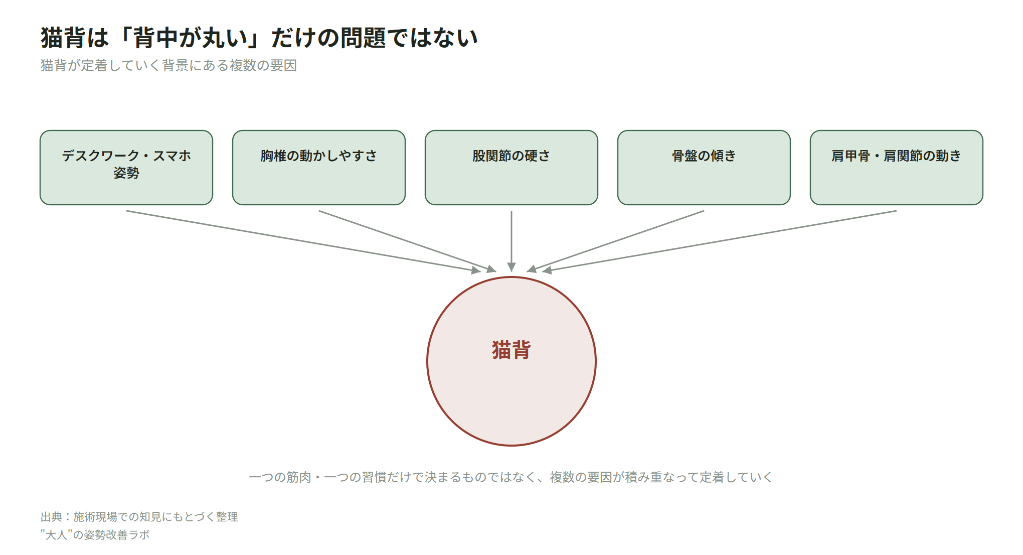 猫背が起こる背景にある複数の要因