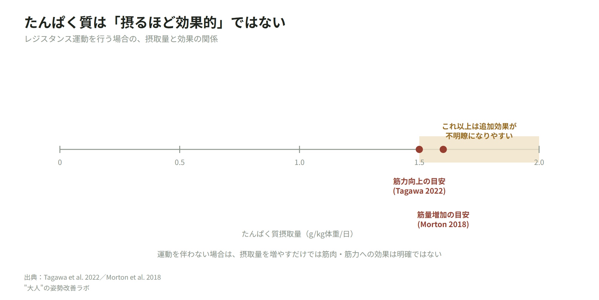 たんぱく質摂取量と筋力向上効果が頭打ちになる目安
